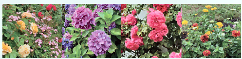 Blumen